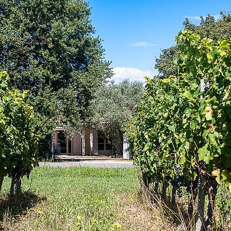 Au Detour Des Vignes Bed & Breakfast Ordonnac Екстериор снимка