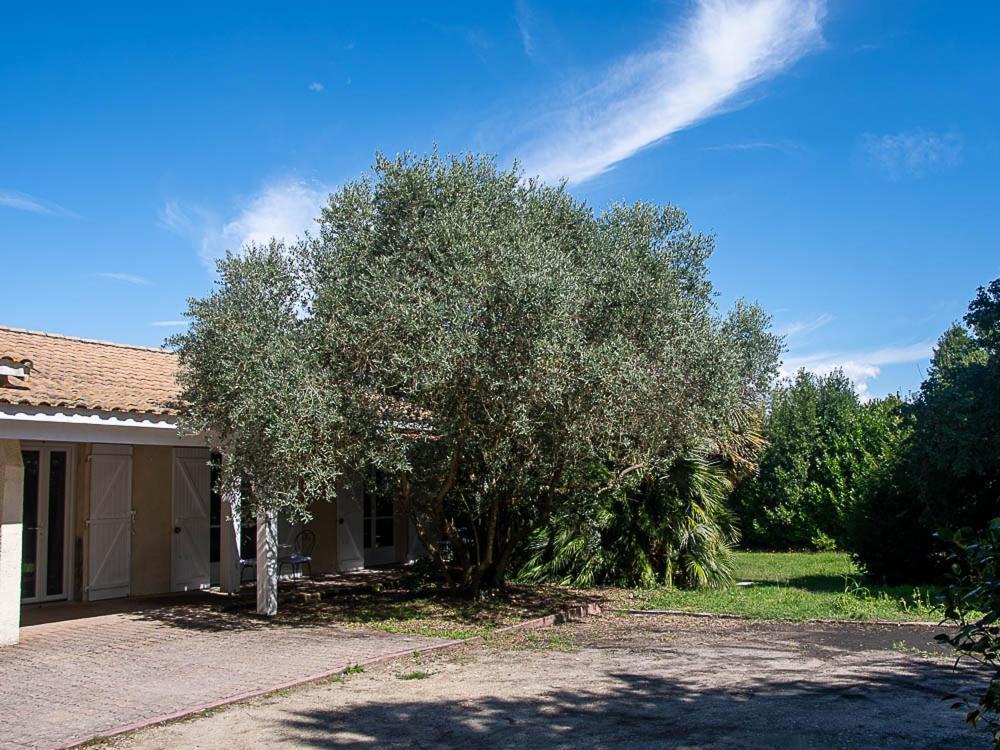 Au Detour Des Vignes Bed & Breakfast Ordonnac Екстериор снимка
